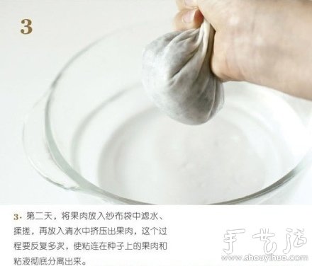 火龍果DIY心形盆栽 -  rpnrmr.com