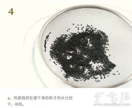 火龍果DIY心形盆栽 -  rpnrmr.com