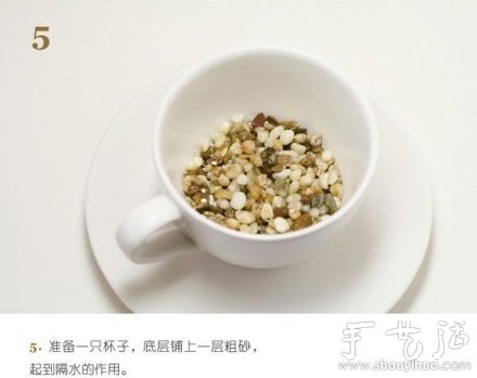 火龍果DIY心形盆栽 -  rpnrmr.com
