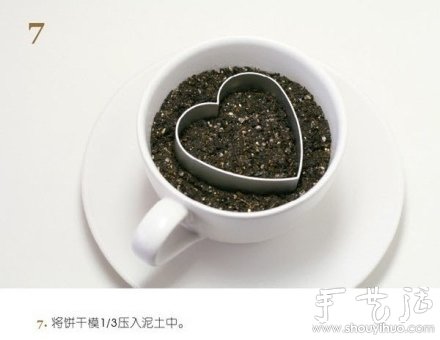 火龍果DIY心形盆栽 -  rpnrmr.com