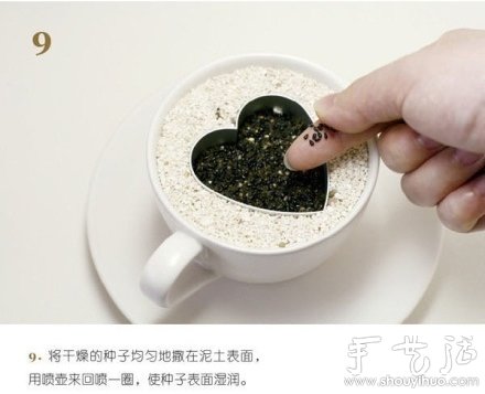 火龍果DIY心形盆栽 -  rpnrmr.com