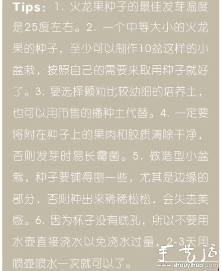 火龍果DIY心形盆栽 -  rpnrmr.com