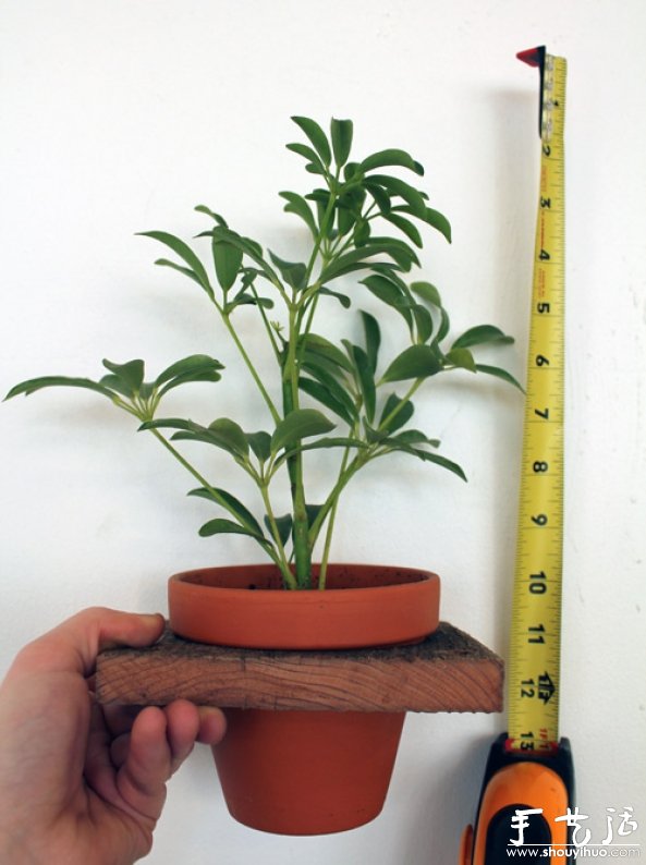 多層吊籃花架盆栽DIY教程 -  rpnrmr.com