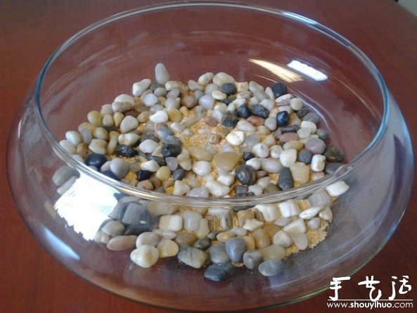 海洋風(fēng)家庭裝飾盆景DIY教程 -  rpnrmr.com