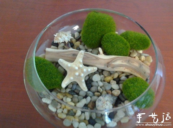 海洋風(fēng)家庭裝飾盆景DIY教程 -  rpnrmr.com
