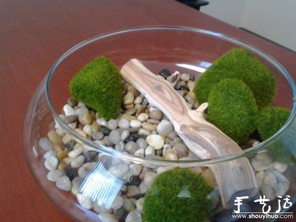 海洋風(fēng)家庭裝飾盆景DIY教程 -  rpnrmr.com