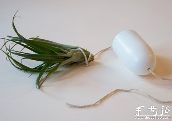 創(chuàng)意手工小制作——魷魚吊籃盆栽 -  rpnrmr.com