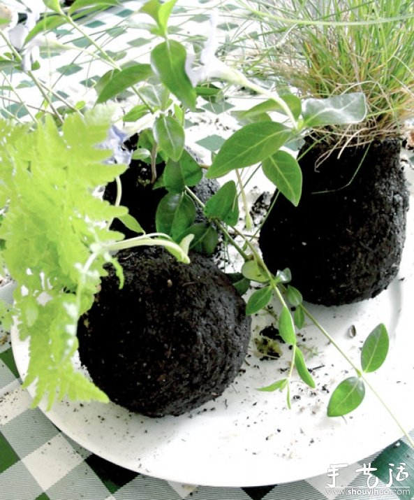 DIY不用花盆的懸掛盆栽 -  rpnrmr.com