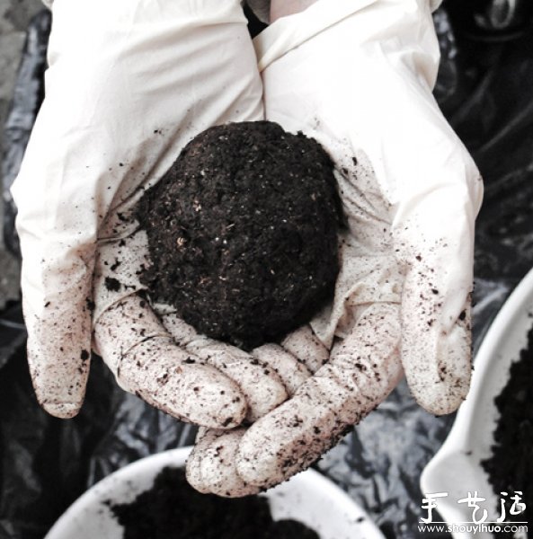 DIY不用花盆的懸掛盆栽 -  rpnrmr.com
