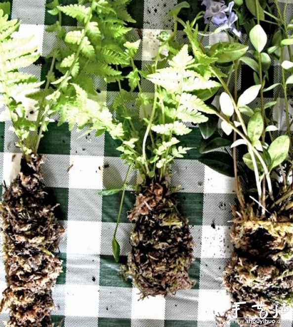 DIY不用花盆的懸掛盆栽 -  rpnrmr.com