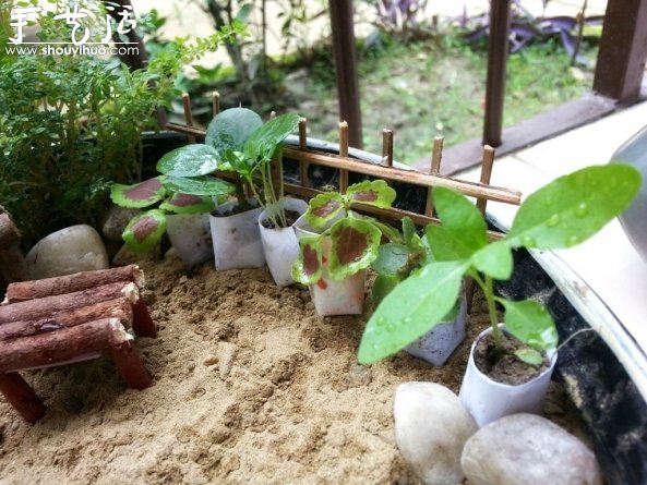 迷你微型花園制作教程 -  rpnrmr.com