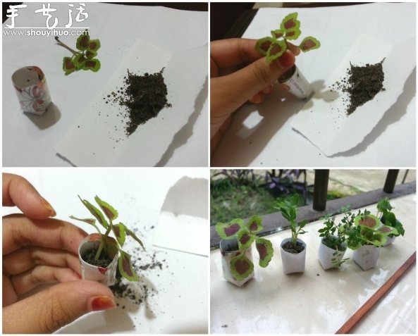 迷你微型花園制作教程 -  rpnrmr.com