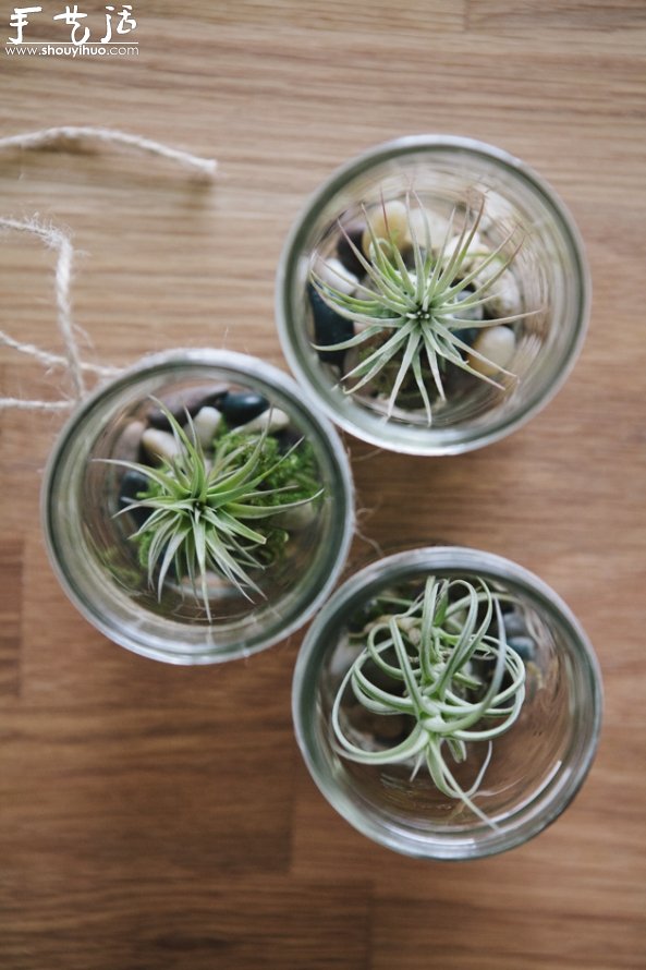 玻璃罐子DIY懸掛的小清新盆栽 -  rpnrmr.com