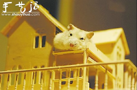 手工達人為倉鼠制作的“城市” -  rpnrmr.com