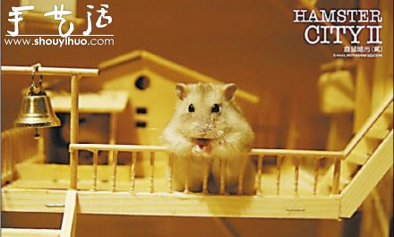 手工達人為倉鼠制作的“城市” -  rpnrmr.com