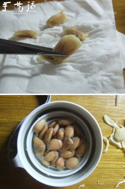 柚子核播種DIY“杯子里的小森林” -  rpnrmr.com