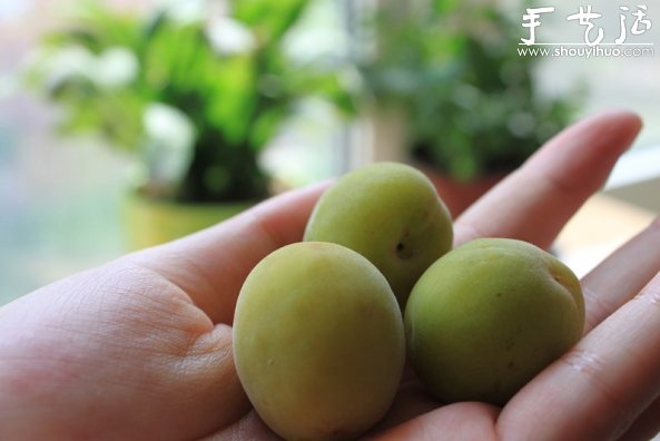 古樸風(fēng)味的梅子酒手工DIY -  rpnrmr.com