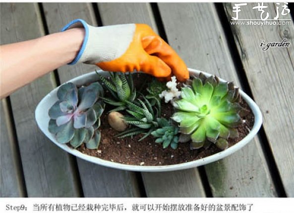 多肉植物手工盆栽DIY -  rpnrmr.com