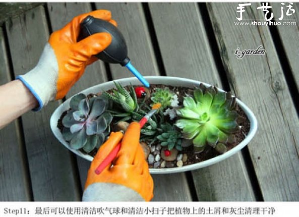 多肉植物手工盆栽DIY -  rpnrmr.com
