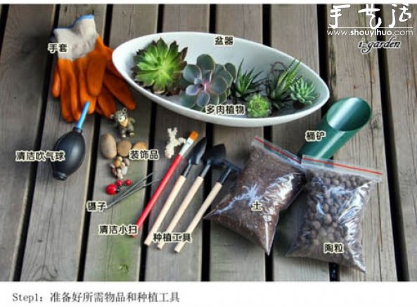 多肉植物手工盆栽DIY -  rpnrmr.com