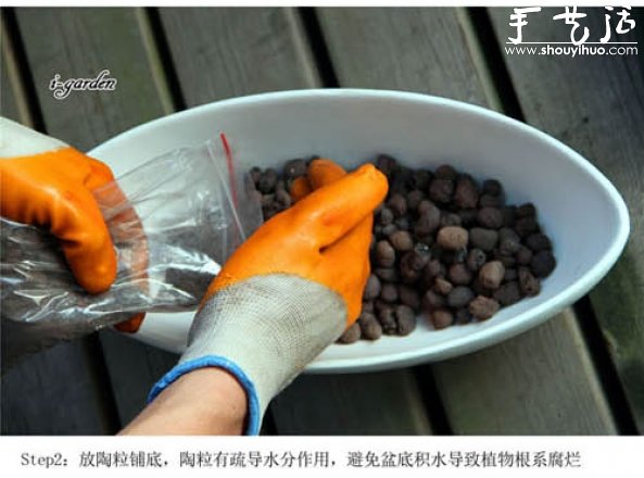 多肉植物手工盆栽DIY -  rpnrmr.com