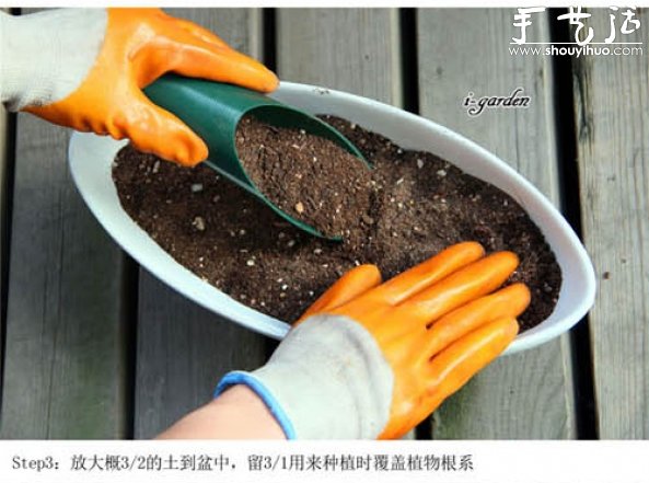 多肉植物手工盆栽DIY -  rpnrmr.com