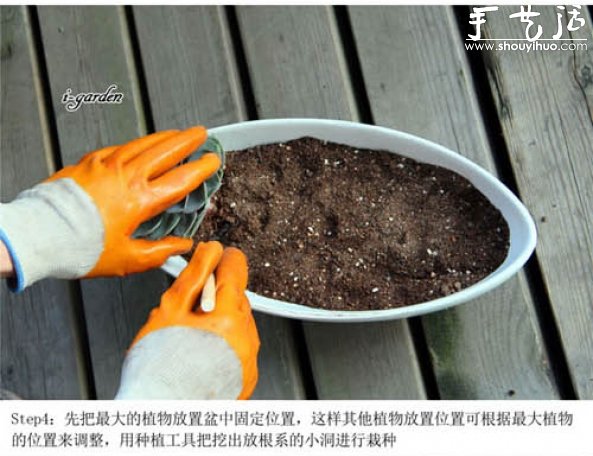 多肉植物手工盆栽DIY -  rpnrmr.com