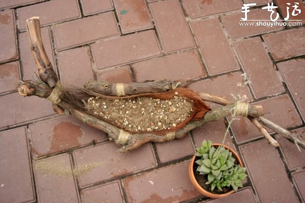 葡萄老根DIY多肉植物盆栽的教程 -  rpnrmr.com