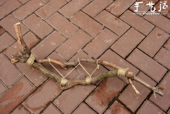 葡萄老根DIY多肉植物盆栽的教程 -  rpnrmr.com