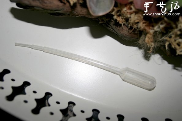 葡萄老根DIY多肉植物盆栽的教程 -  rpnrmr.com