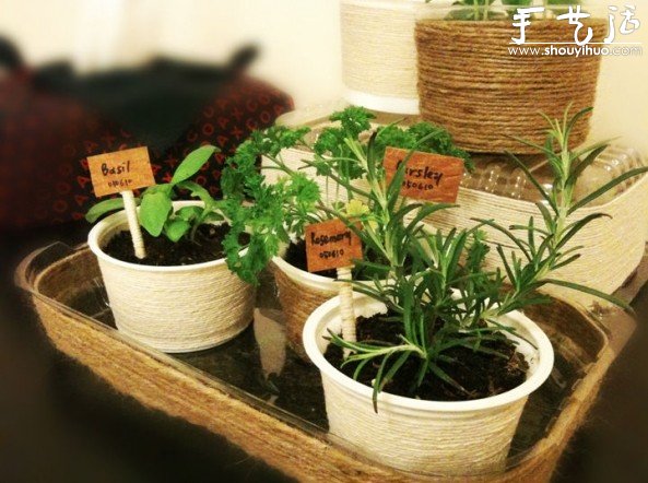 利用回收的塑料容器DIY清新小盆栽 -  rpnrmr.com