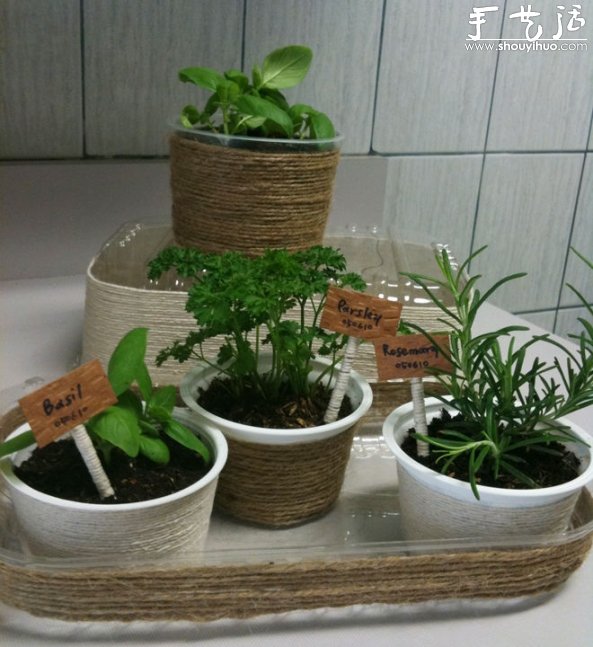 利用回收的塑料容器DIY清新小盆栽 -  rpnrmr.com