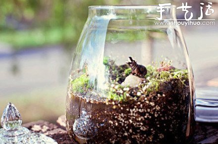 DIY裝飾性玻璃瓶盆栽 -  rpnrmr.com