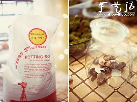 DIY裝飾性玻璃瓶盆栽 -  rpnrmr.com