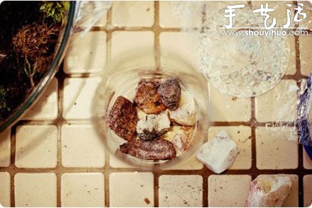 DIY裝飾性玻璃瓶盆栽 -  rpnrmr.com