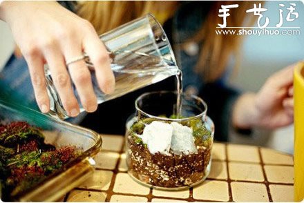 DIY裝飾性玻璃瓶盆栽 -  rpnrmr.com