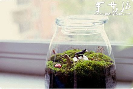 DIY裝飾性玻璃瓶盆栽 -  rpnrmr.com