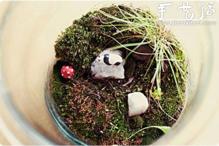 DIY裝飾性玻璃瓶盆栽 -  rpnrmr.com