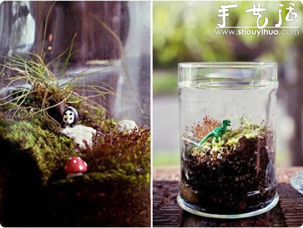 DIY裝飾性玻璃瓶盆栽 -  rpnrmr.com