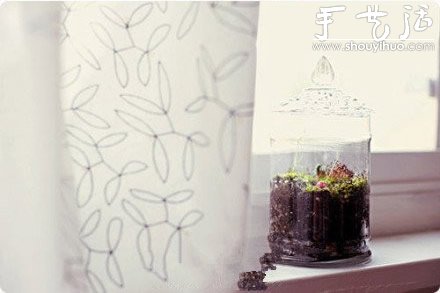 DIY裝飾性玻璃瓶盆栽 -  rpnrmr.com