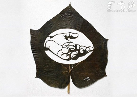 驚艷的葉片雕刻藝術(shù) -  rpnrmr.com