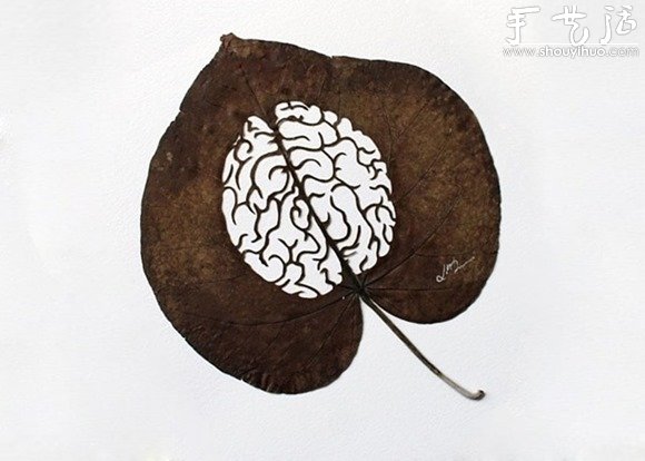 驚艷的葉片雕刻藝術(shù) -  rpnrmr.com