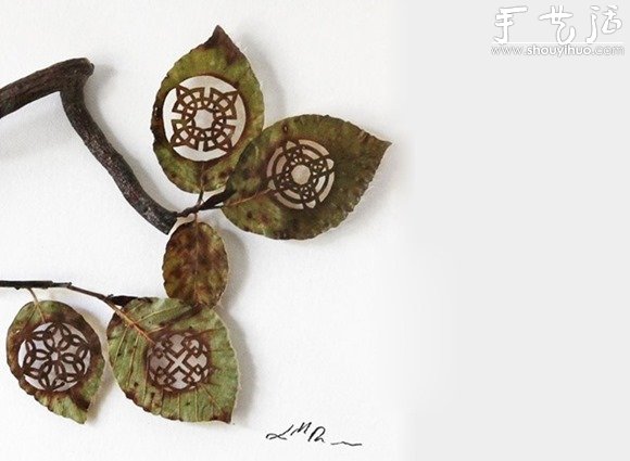 驚艷的葉片雕刻藝術(shù) -  rpnrmr.com