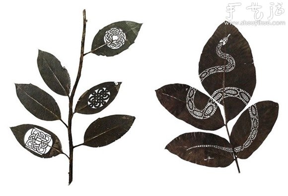 驚艷的葉片雕刻藝術(shù) -  rpnrmr.com