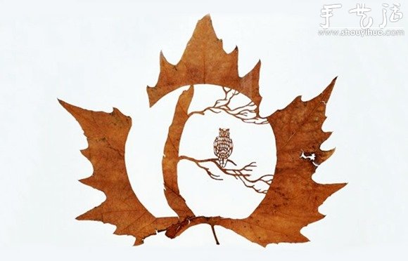 驚艷的葉片雕刻藝術(shù) -  rpnrmr.com