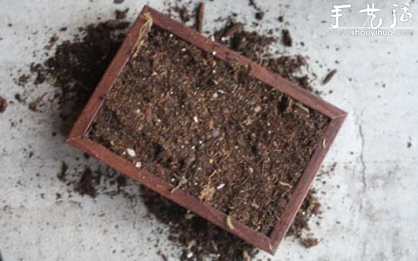 手工制作多肉植物畫(huà)框的教程 -  rpnrmr.com