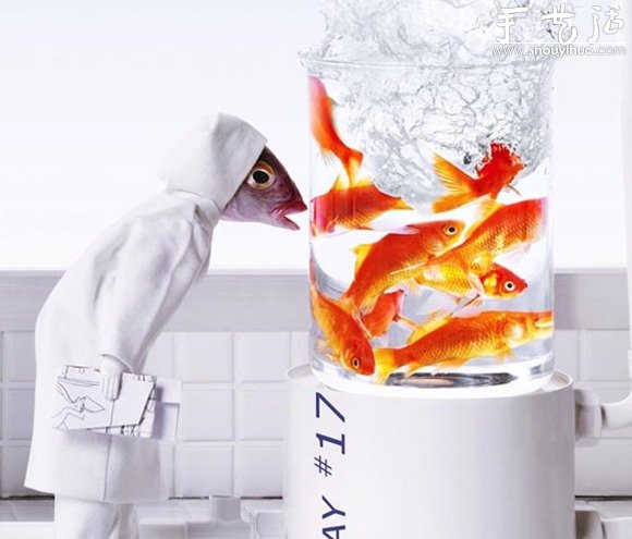 魚頭的創(chuàng)意DIY -  rpnrmr.com