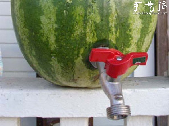 西瓜創(chuàng)意DIY -  rpnrmr.com