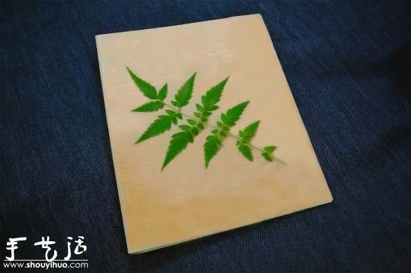 葉片印染DIY，制作小清新書本封面 -  rpnrmr.com