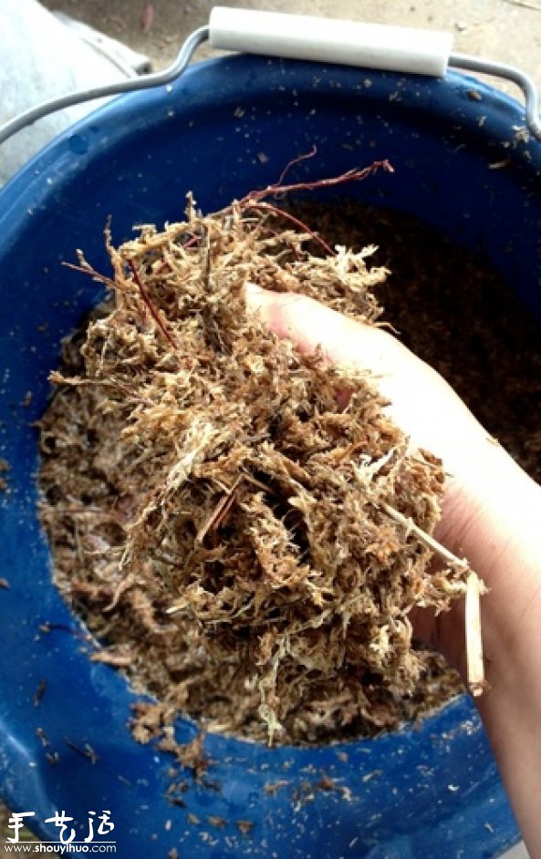 DIY多種多肉植物混搭的盆栽 -  rpnrmr.com